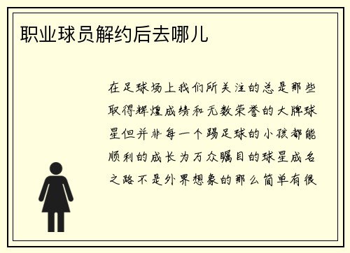 职业球员解约后去哪儿